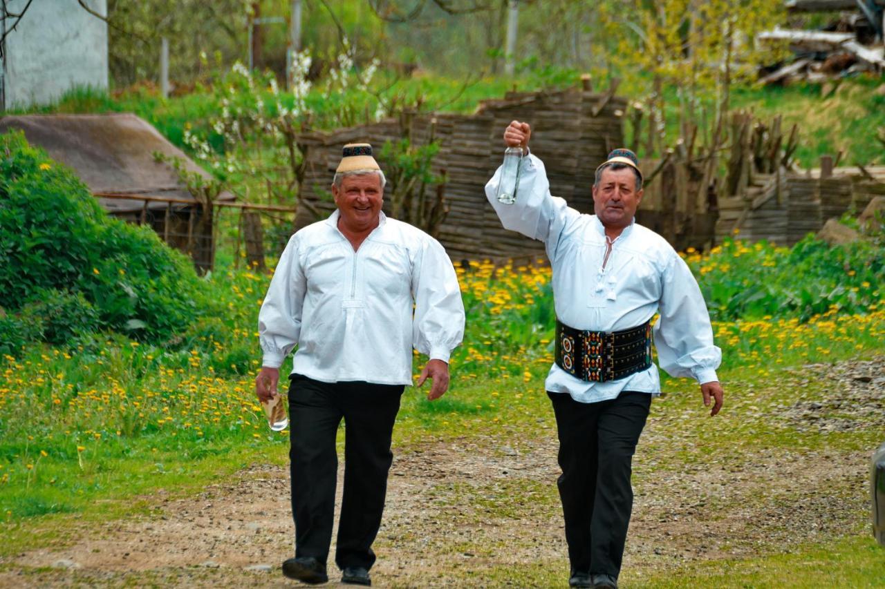 Breb 418, Casa Opris旅馆 外观 照片