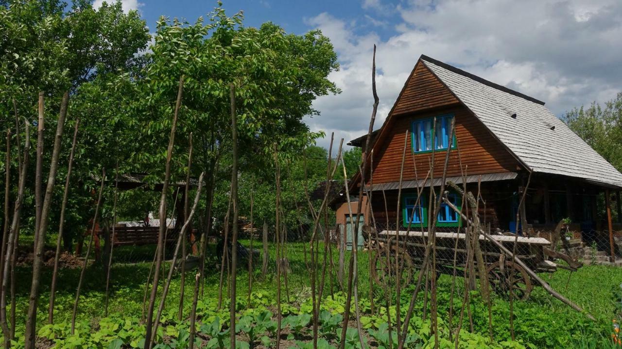 Breb 418, Casa Opris旅馆 外观 照片