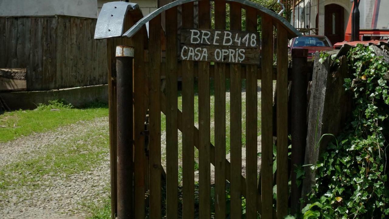 Breb 418, Casa Opris旅馆 外观 照片